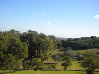 vista