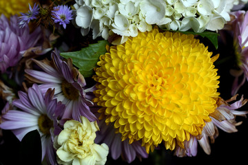 blossoming yellow flower