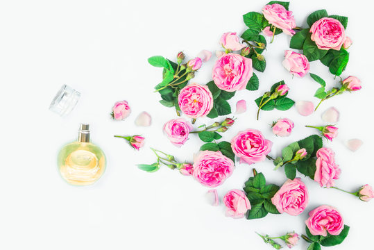 Flatlay of spraying pink tea rose flowers and petals from beautiful perfume bottle on white background isolated. Fresh concept with luxury aroma. Beauty cosmetic. Banner. Selective focus. Copy space.