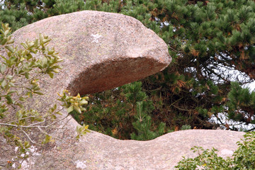 Côte de granit rose en Bretagne