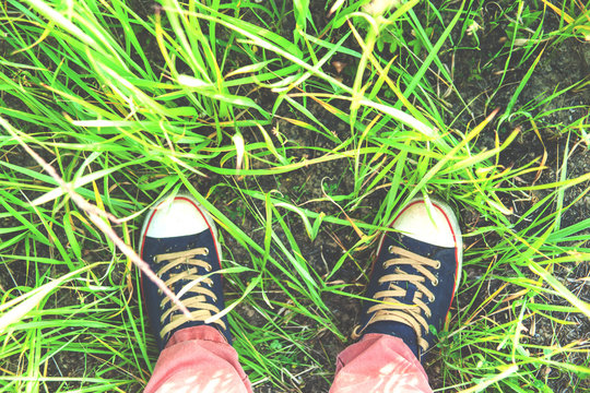 feet in sneakers on the green grass, toned