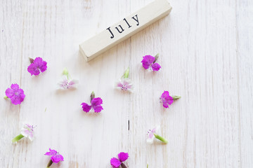 first day of July, colorful background with calendar, flowers