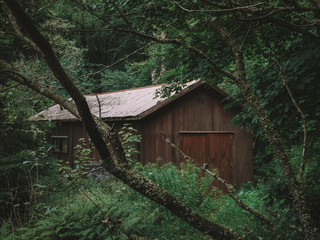 Cabin in the woods