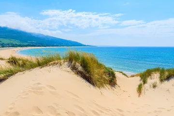 Photo sur Plexiglas Plage de Bolonia, Tarifa, Espagne Grass on sand dunes at Paloma beach, Costa de la Luz, Spain