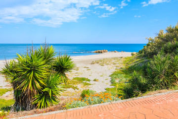 View of beautiful beach with tropical plants in small coastal village near Marbella on Costa de Sol, Spain