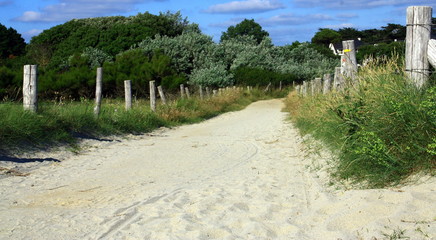chemin dans le sable,en bord de mer,en bretagne
