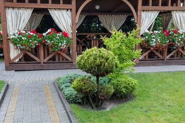 Landscape design trends. Small Gardens and Unique Plants