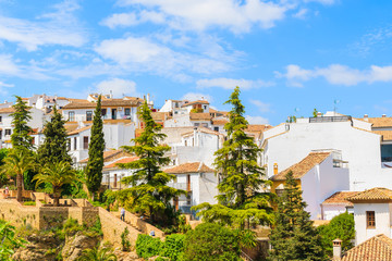 Obraz premium Typical white houses on green hill in Andalusian village of Ronda, Spain