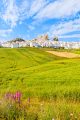 Fototapeta na wymiar Olvera village with white houses and green fields in foreground in spring season, Andalusia, Spain