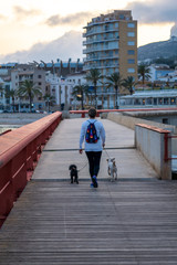 person walking down the street on a bridge with two dogs walking by the sea and city in the background
