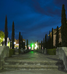 Obraz premium Park lit in the middle of the night