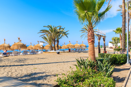 Palm trees and sunbeds on beautiful beach near Marbella, Andalusia, Spain