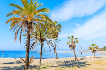 Fototapeta na wymiar Tropical palm trees on beautiful sandy beach near Marbella town, Andalusia, Spain