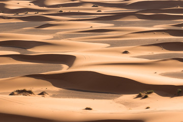 Fototapeta na wymiar big dune with steps and blue sky after sunrise in Sahara
