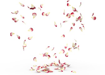 Rose petals fall to the floor