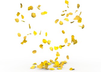 Rose petals fall to the floor