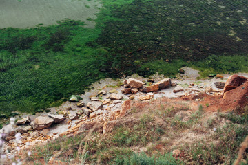 Algae seaweed on the seashore near the cliff. Dirty beach. View from above