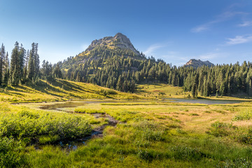 Naches Peak near Tipsoo Lake in Mt Rainier National Park in Washington