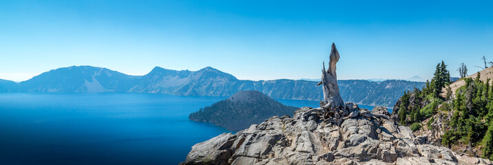 Dead tree over crater lake