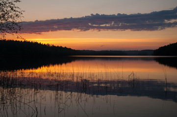 Beautiful sunset on the lake. Reeds in the water, forest and red orange and pink cloudy sky.