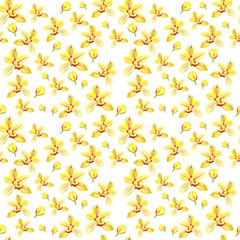 Botany illustration Watercolor yellow orchid flower on white background. Seamless watercolor pattern