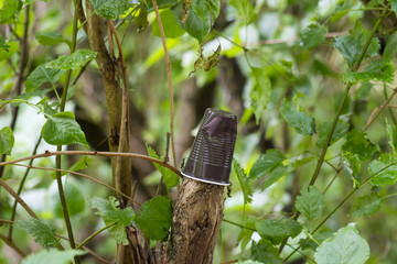 plastic cup on the nature of how the garbage