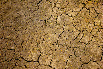 Dry Soil Background