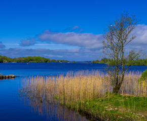 Awesome nature and blue water at Killarney National Park in Dingle