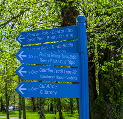 Direction signs at Killarney National park