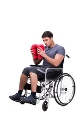 Boxer recovering from injury on wheelchair