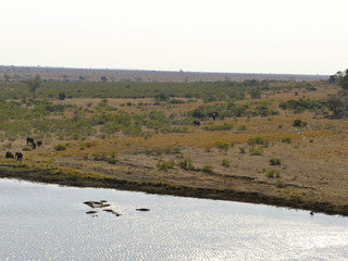 Letaba river - Kruger National Park, South Africa
