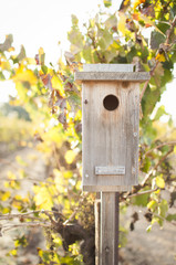 birdhouse in a vinyard