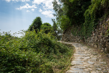 Fototapeta na wymiar Horizontal View of the Path betewwn Corniglia and Vernazza at Summer.