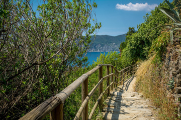 Fototapeta na wymiar Horizontal View of the Path betewwn Corniglia and Vernazza at Summer.