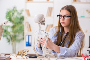 Student sitting in classroom and studying skeleton
