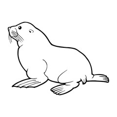 Seal cartoon illustration isolated on white background for children color book