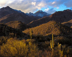 Clearing Winter Storm, Catalina Mountains, Tucson, Arizona