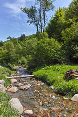 Landscape with Green Hills near village of Fotinovo in Rhodopes Mountain, Pazardzhik region, Bulgaria