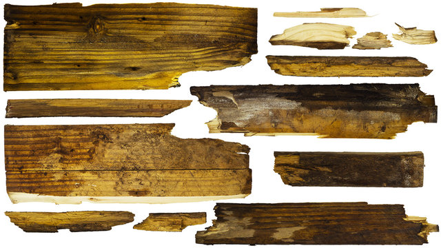 Driftwood compilation