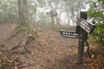 霧の中の道標