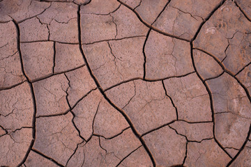 Patterns on the ground made by cracks in dry desert mud 