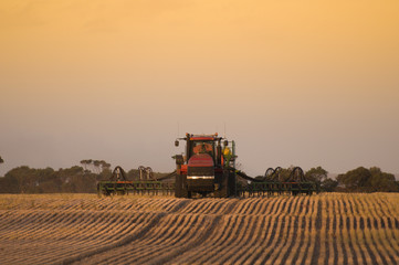 Fototapeta premium Seeding time