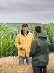 Farmers with tablet in barley field © Budimir Jevtic