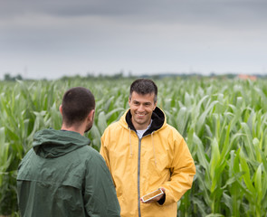 Farmer with tablet in corn field © Budimir Jevtic