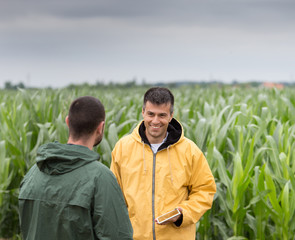 Farmer with tablet in corn field