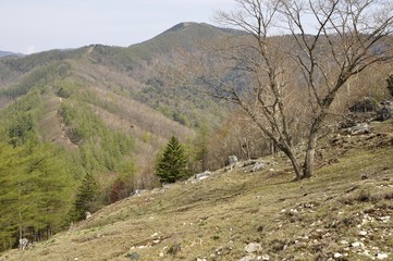 東京都の最高峰 雲取山