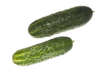 cucumber isolated on white background