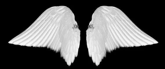 Fotobehang White angel wings isolated on black background © jakkapan