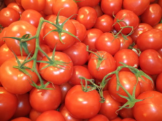 red ripe tomatoes
