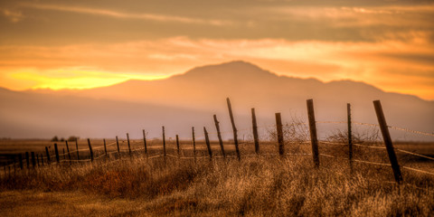 Wooden post barbed wire fence surrounding a field at sunset. - obrazy, fototapety, plakaty